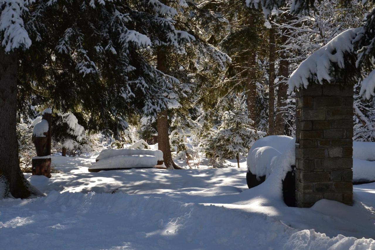 Alle pendici del Monte Rosa Champoluc Exterior foto